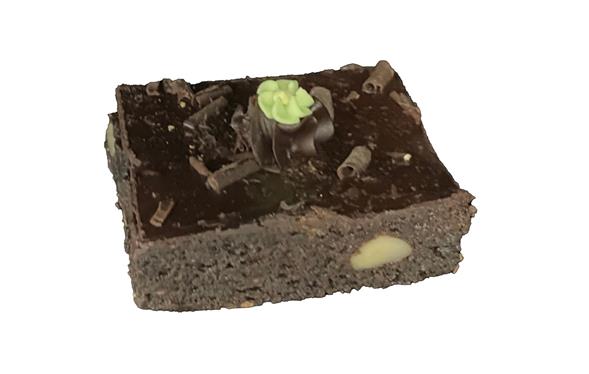 Brownie